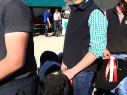 2019_ausstellung polling_651